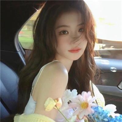 企鹅之岛：福克兰