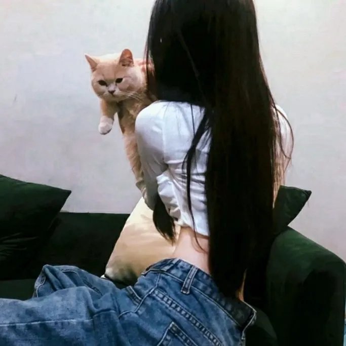 情迷黑森林粤语